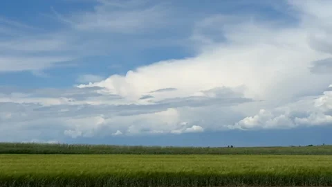 Expansive Rural Landscape Stock Footage 310821991