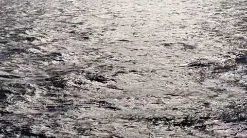 Expansive shimmering ocean surface under bright sunlight, rippling with textured Stock Footage 316774517