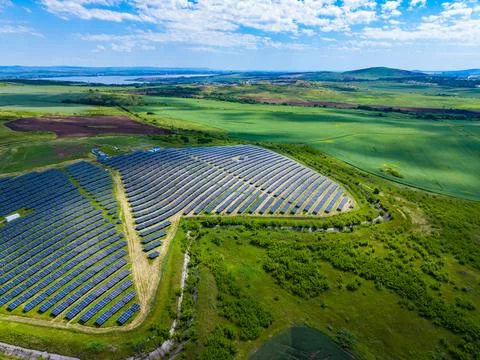 Expansive solar array across hilltop land with orderly rows of panels, clear  스톡 사진