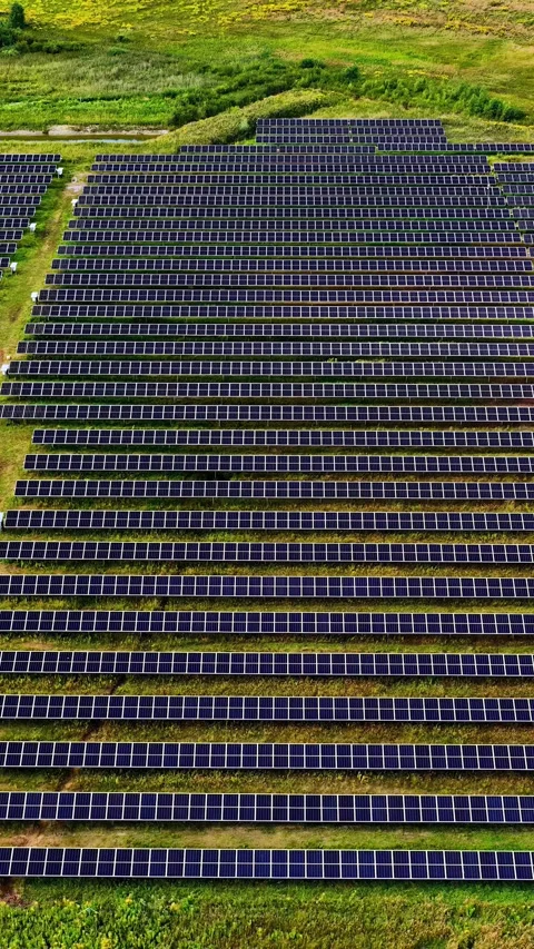 Expansive Solar Array Spanning Verdant Fields Stock-Footage 336007156