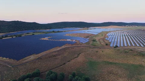 Expansive solar farm generating renewable electricity and clean green energy Stock Footage 344759776