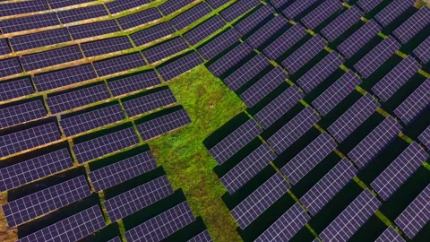 Expansive solar panel array captures sunlight in a green landscape, showcasing Stock-Footage 331078800