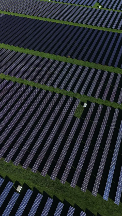 Expansive solar panel array capturing sunlight in a vast field under a clear Stock-Footage 331973643