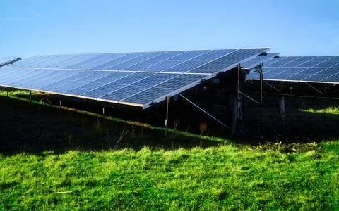 Expansive Solar Panel Array Capturing Clean Energy Under a Clear Blue Sky Foto stock