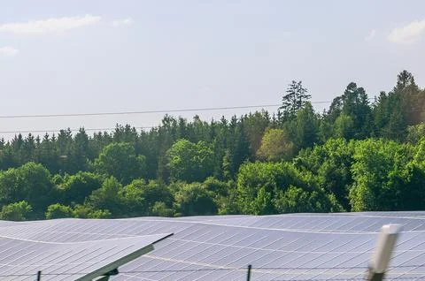 Expansive solar panel array in front of a lush green forest under a clear sky 스톡 사진