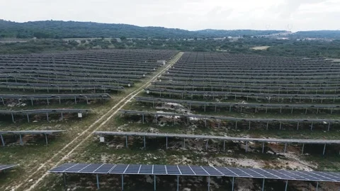 Expansive Solar Panel Array in Natural Setting Stock Footage 259891852