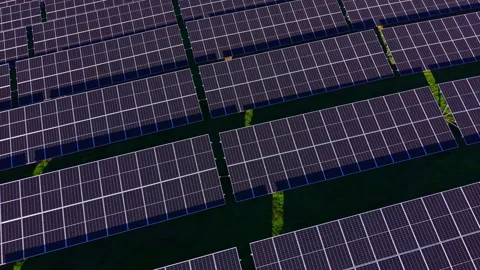 Expansive solar panel array soaking in sunlight over a green landscape, Stock Footage 331336340