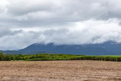 Expansive sugar cane fields under the tropical Queensland sun Stock Photos