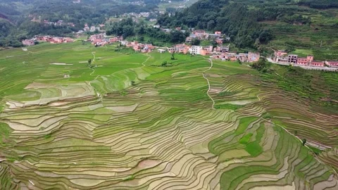 Expansive Terraced Fields Scenic Patterns In Mountain Countryside Aerial Footage Video stock 320523309