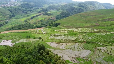 Expansive Terraced Fields Scenic Patterns In Mountain Countryside Aerial Footage Stock Footage 320523419