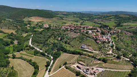 Expansive Tuscan Valley View with Olive Orchards and Hill Village Stock-Footage 345550089