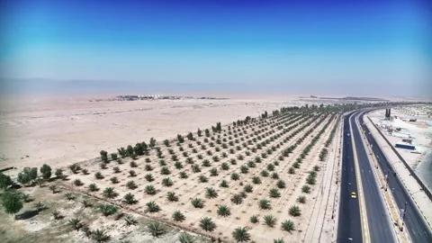 Expansive view of an arid region showcasing rows of palm trees along a highway Video stock 302628732