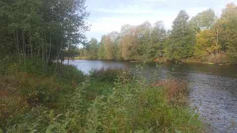Expansive View Down A Wide Calm River Surrounded By Autumn Trees Stock Footage 348033779