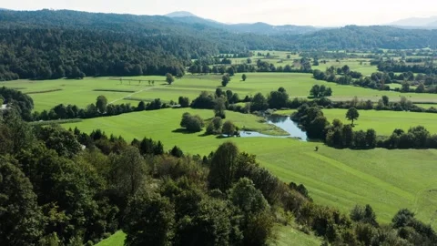 An expansive view of a green valley with rolling fields and scattered trees. Stock Footage 287114974