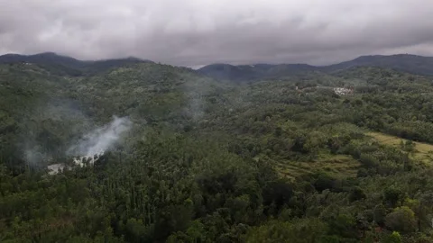 An expansive view of a hilly forest dominated by tall, thin trees. Thick clouds Video stock 317840483