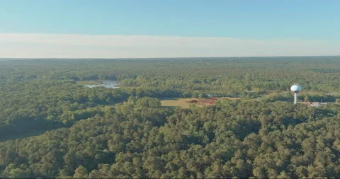Expansive view of lush greenery water tower in rural landscape during afternoon Video stock 338119739