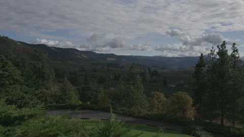 Expansive View of Lush Willamette Valley Vineyards Video stock 332308655
