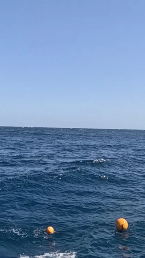 An Expansive View of Open Water Featuring Floating Markers Beneath a Clear Blue 库存影片 330115369