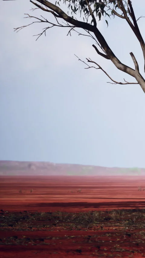 An expansive view of a red landscape with a tree in the foreground Stock Footage 340261417
