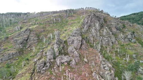 Expansive view of rugged mountains with lush green forests in a deep valley Stock Footage 314593831