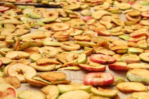 Expansive view of sliced raw apples laid out on paper for traditional drying Stock Photos