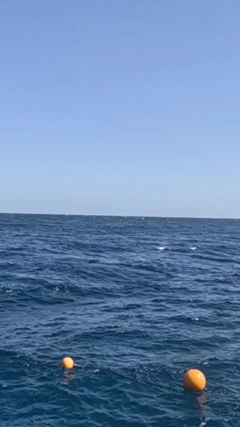 An Expansive View of Tranquil Ocean Waters with Floating Buoys Under a Bright 库存影片 330115324