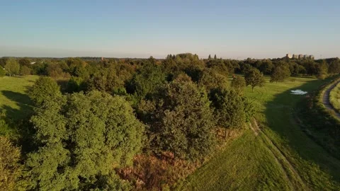 Expansive View of Verdant Fields and Trees Video stock 291140303