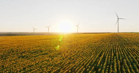 Expansive view of wind power farm with turbines Stock Footage 301894019