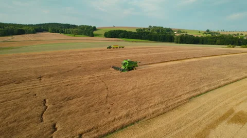 Expansive wheat fields stretch to the horizon, where machines harvest the golden Video stock 306758068