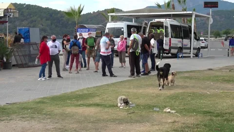Expats get together for the beach cleaning event Stock Footage 143520630