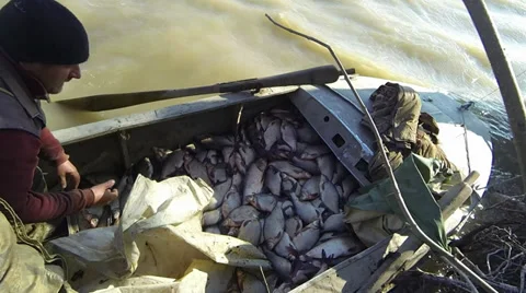 Expectation Stock Footage 36282084