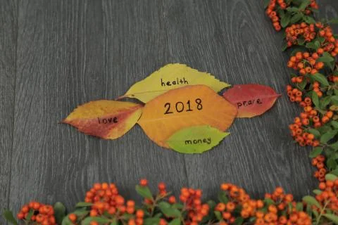 Expectation the post on the leaf , beauty background Stock Photos