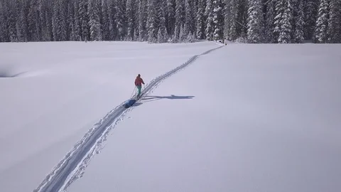 Expedition skier with pulk sled joins others waiting at forest edge Stock Footage 126893375