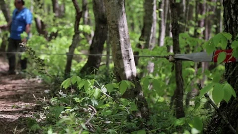 Expeditionary SUV got stuck in the forest and trying to get out via winch. Stock Footage 76727943