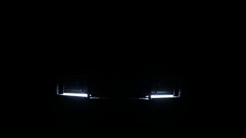 Expeditionary SUV switch on bright headlight and additional illumination. Stock Footage 75951169