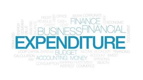Expenditure animated word cloud. Kinetic typography. Stock Footage 104622246