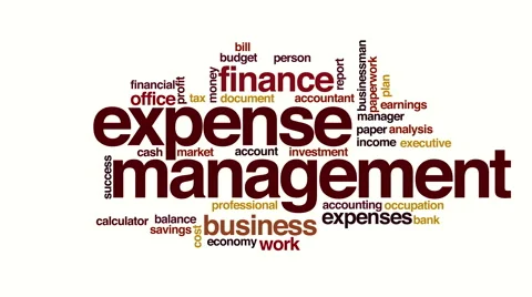Expense management animated word cloud Stock Footage 69063082