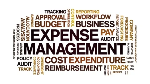 Expense Management animated word cloud,animation tag kinetic typography loop. Stock Footage 315740773