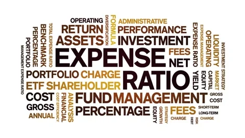 Expense Ratio animated word cloud,animation kinetic typography seamless loop. Stock Footage 315676119