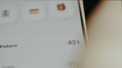 Expenses tracking app displays the spendings for Pizza restaurant Stockbeeldmateriaal 331575907