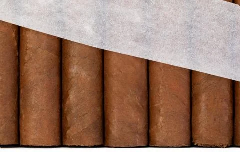 Expensive cigars in a box Stock Photos