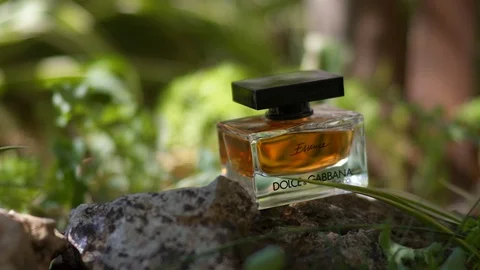 Expensive Dolce Gabbana Essence Aroma Stock Video Pond5