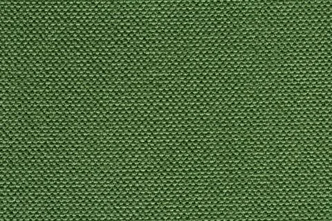 Expensive green material texture for your ideal interior. Stock Photos