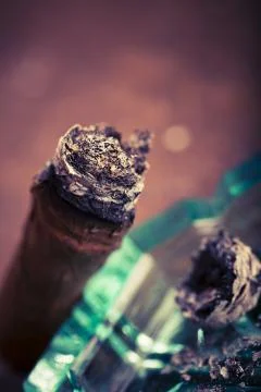 Expensive hand-rolled cigar on a while background Stock Photos