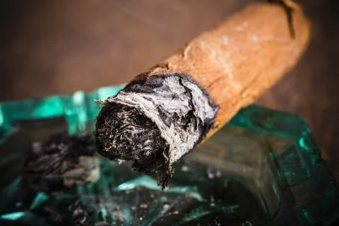 Expensive hand-rolled cigar on a while background Stock Photos