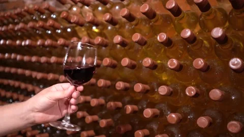 Expensive red dry wine is poured into a glass Stock Footage 229840180