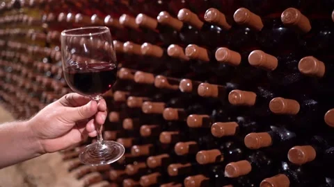 Expensive red dry wine is poured into a glass Stock Footage 229840244