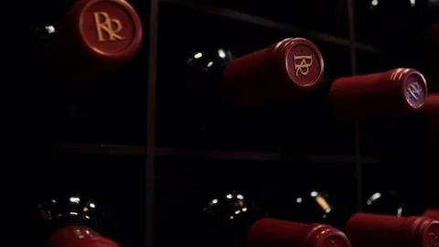 Expensive Wine Bottles Vidéo 95170068