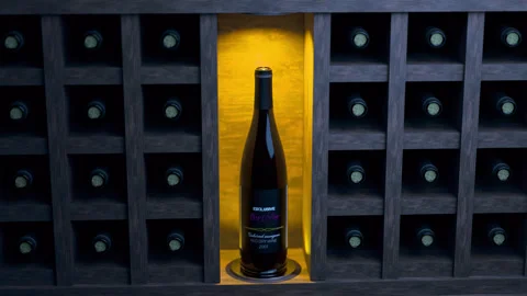 Expensive wine on special display Stock Footage 314020371