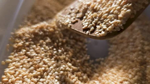 Experience the aromatic blend as roasted sesame harmoniously mixes with a wooden Vidéo 268743952